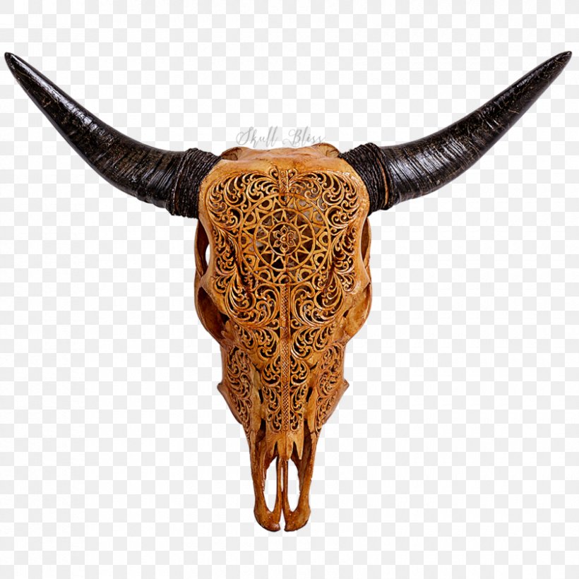Texas Longhorn English Longhorn Human Skull Symbolism, PNG, 840x840px, Texas Longhorn, Animal, Animal Skulls, Bali Cattle, Barbed Wire Download Free