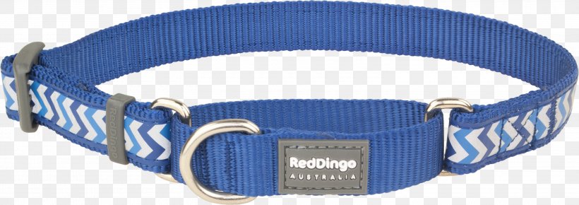 Dog Collar Dingo Cat, PNG, 3000x1062px, Dog, Blue, Cat, Choker, Cobalt Blue Download Free