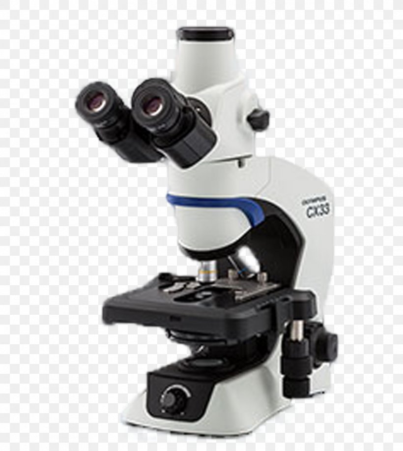 Optical Microscope Olympus Corporation Microscopy The Microscope, PNG, 1117x1250px, Microscope, Biology, Condenser, Digital Microscope, Laboratory Download Free