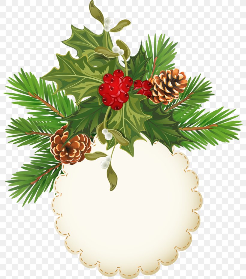 Pine Conifer Cone Christmas Ornament Clip Art, PNG, 800x930px, Pine, Christmas, Christmas Decoration, Christmas Ornament, Conifer Download Free
