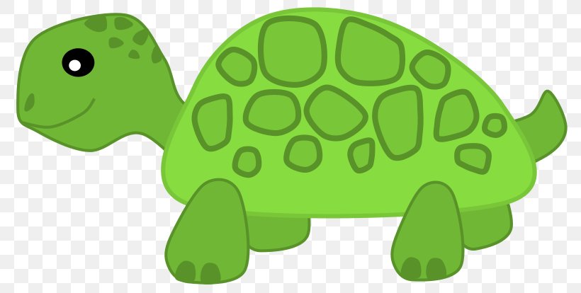 Turtle Herbivore Clip Art, PNG, 800x414px, Turtle, Carnivore, Cartoon, Dieting, Fauna Download Free