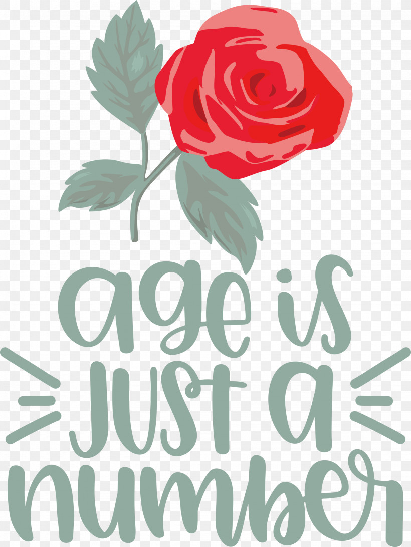 Birthday Age Is Just A Number, PNG, 2252x3000px, Birthday, Cut Flowers, Floral Design, Flower, Garden Download Free