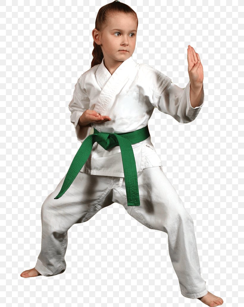 Martial Arts Karate Jujutsu Black Belt, PNG, 683x1033px, Martial Arts, Arm, Black Belt, Boy, Child Download Free