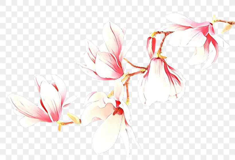 Pink Plant Flower Pedicel, PNG, 2998x2042px, Cartoon, Flower, Pedicel, Pink, Plant Download Free
