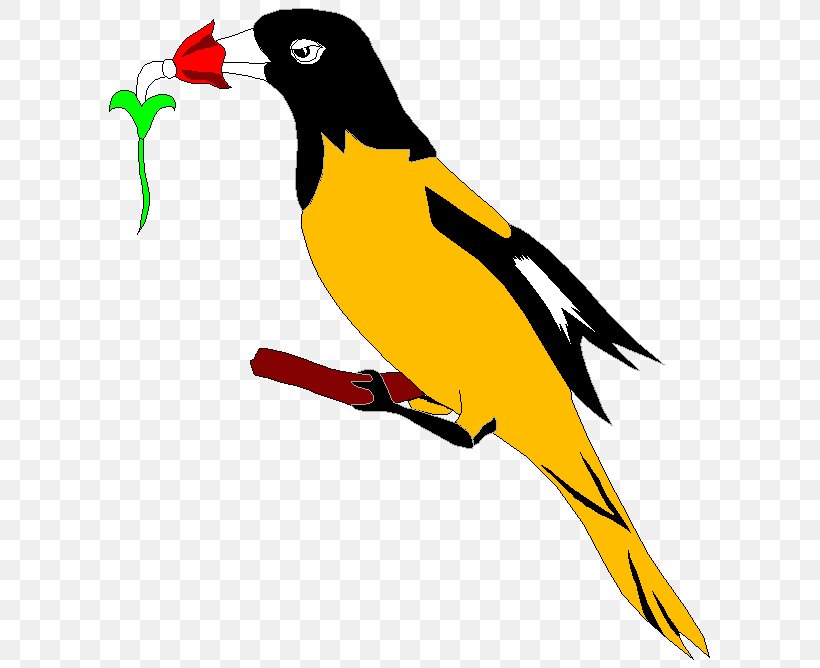 Clip Art Eurasian Golden Oriole, PNG, 617x668px, Eurasian Golden Oriole, Baltimore Oriole, Beak, Bird, Finch Download Free