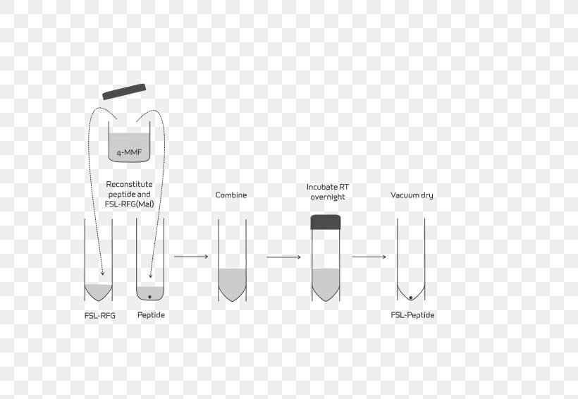 Brand Technology Line, PNG, 800x566px, Brand, Diagram, Multimedia, Technology, Text Download Free