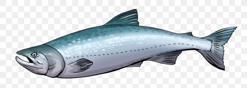 Salmon Sashimi Free Content Clip Art, PNG, 1122x402px, Salmon, Animation, Bony Fish, Chinook Salmon, Drawing Download Free