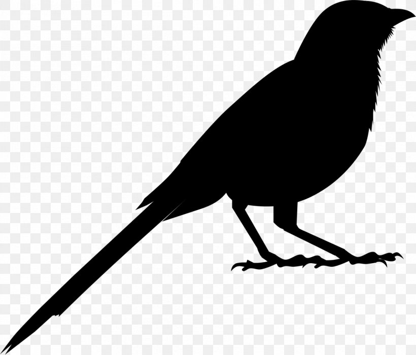 American Crow Clip Art Fauna Silhouette Common Raven, PNG, 1164x994px, American Crow, Beak, Bird, Blackbird, Coloring Book Download Free