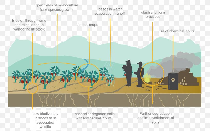 Graphic Design Diagram, PNG, 1445x901px, Diagram, Design M, Text Download Free