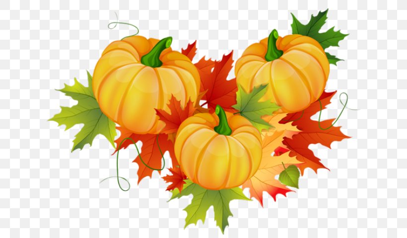 Thanksgiving Clip Art Image Pumpkin, PNG, 640x480px, Thanksgiving, Calabaza, Cornucopia, Cucurbita, Flower Download Free