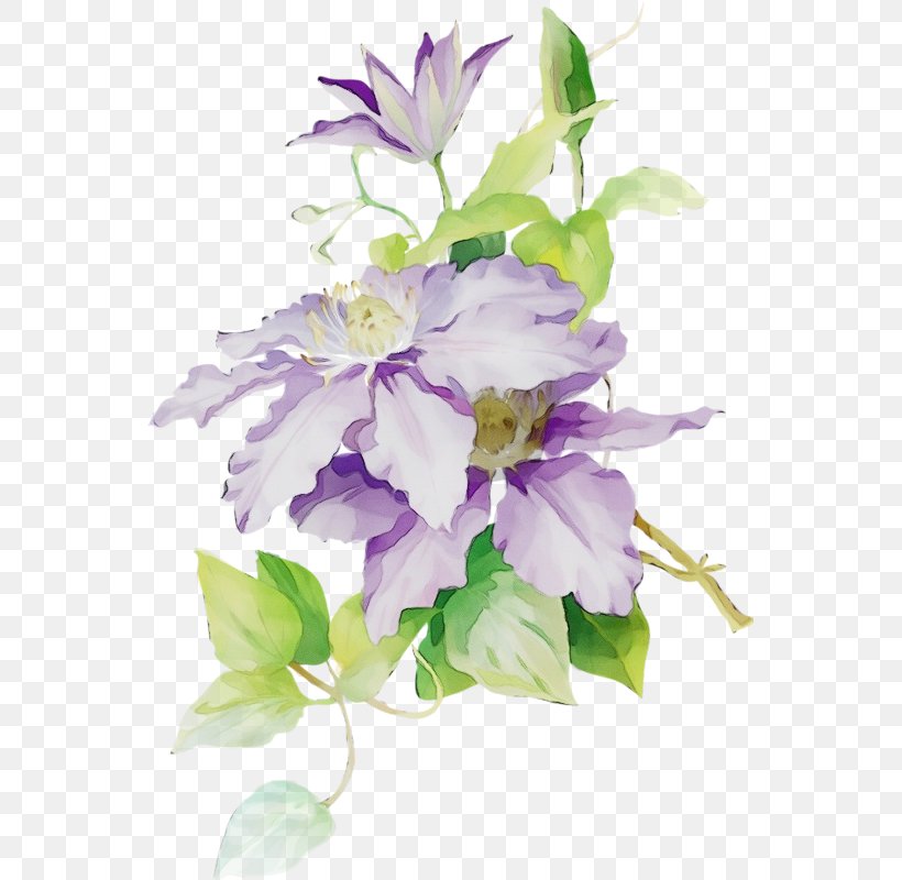 Bouquet Of Flowers Drawing, PNG, 551x800px, Watercolor, Artificial Flower, Bellflower, Bellflower Family, Bouquet Download Free