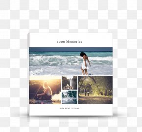 Mosquito - Mosquito DEET Display Advertising Household Insect Repellents Brand PNG