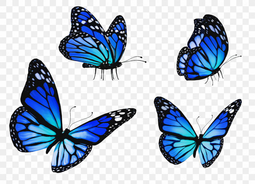 Moths And Butterflies Butterfly Insect Blue Pollinator, PNG, 2352x1700px, Moths And Butterflies, Apatura, Blue, Brushfooted Butterfly, Butterfly Download Free