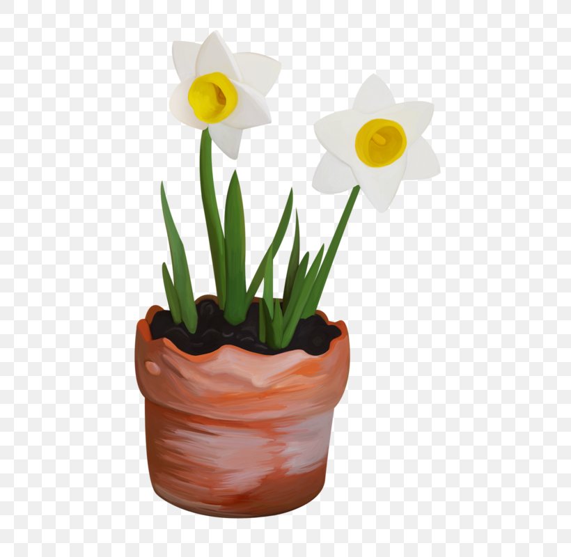 Narcissus Flowerpot, PNG, 526x800px, Narcissus, Flower, Flowering Plant, Flowerpot, Plant Download Free