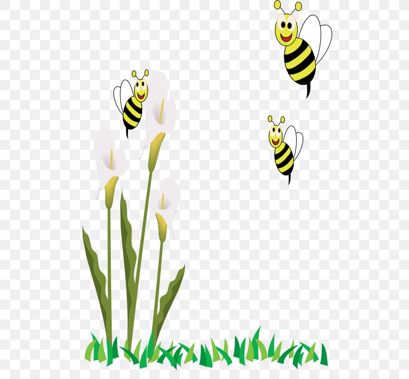 Honey Bee Clip Art Image Illustration, PNG, 512x759px, Honey Bee, Animal Figure, Bee, Botany, Bumblebee Download Free