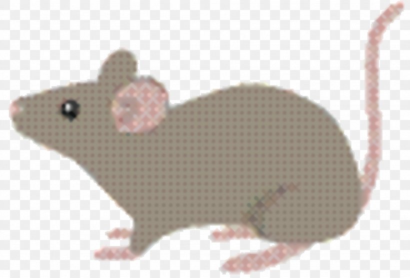 Microscope Cartoon, PNG, 1844x1252px, 3d Scanning, Rat, Animal Figure, Beige, Gerbil Download Free