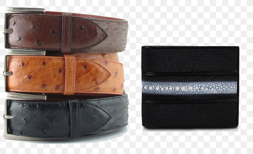 Belt Buckles Common Ostrich Ostrich Leather, PNG, 800x500px, Belt, Belt Buckle, Belt Buckles, Boot, Brand Download Free