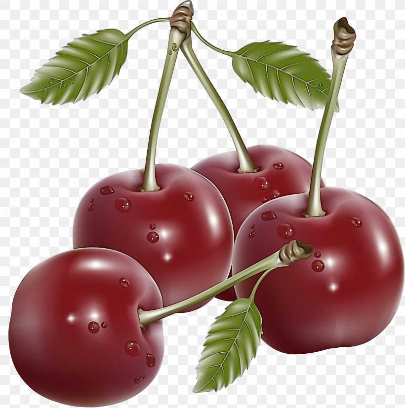 Cherry Fruit, PNG, 2974x3000px, Cherry, Drupe, Flower, Food, Fruit Download Free