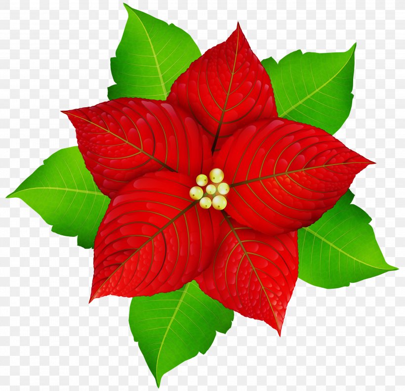Christmas Poinsettia, PNG, 3000x2895px, Watercolor, Christmas Day, Christmas Decoration, Clip Art Christmas, Flower Download Free