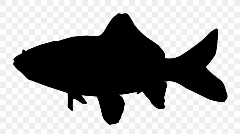 Common Goldfish Silhouette Drawing, PNG, 1280x716px, Common Goldfish, Black, Black And White, Drawing, Fauna Download Free