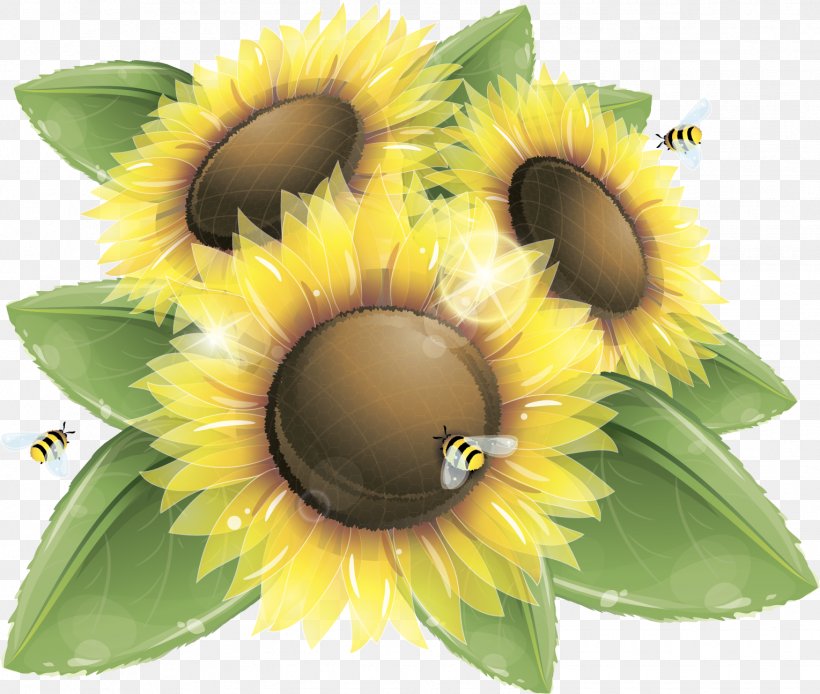 Common Sunflower Honey Bee Clip Art, PNG, 1529x1295px, Common Sunflower, Bee, Color, Flower, Flowering Plant Download Free