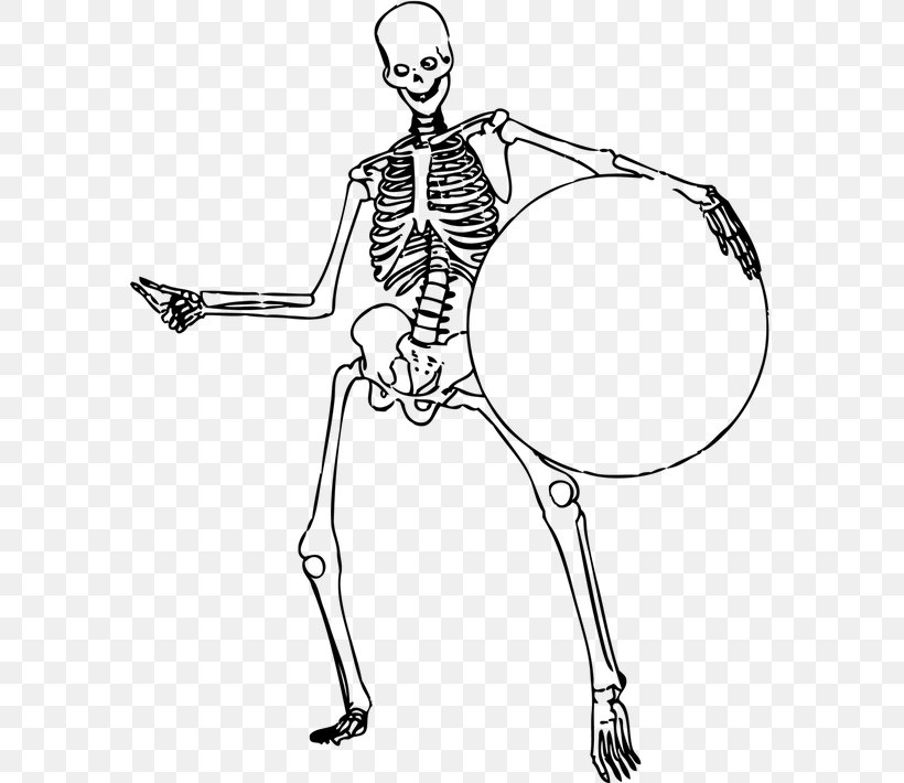 Human Skeleton Bone Human Body Vertebral Column, PNG, 584x710px, Watercolor, Cartoon, Flower, Frame, Heart Download Free