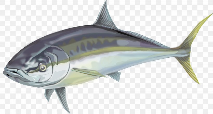 Swordfish Thunnus Oily Fish Mackerel, PNG, 4525x2423px, Fish, Animal, Billfish, Bonito, Bony Fish Download Free