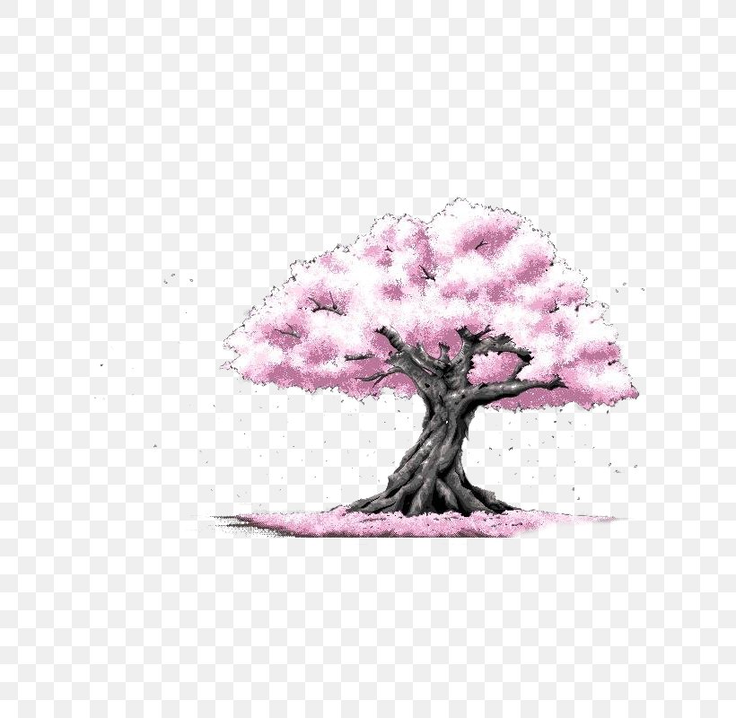 Cherry Blossom Tree Cerasus Drawing, PNG, 800x800px, Cherry Blossom, Art, Blossom, Cerasus, Cherry Download Free