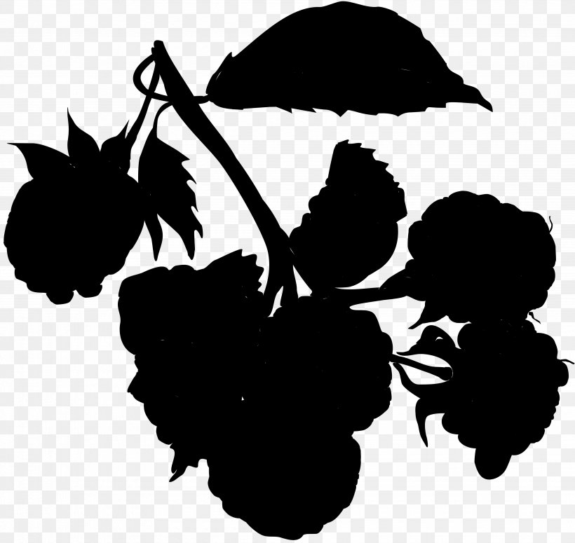 M / 0d Clip Art Flower Silhouette Fruit, PNG, 3705x3505px, M 0d, Black M, Blackandwhite, Botany, Branching Download Free