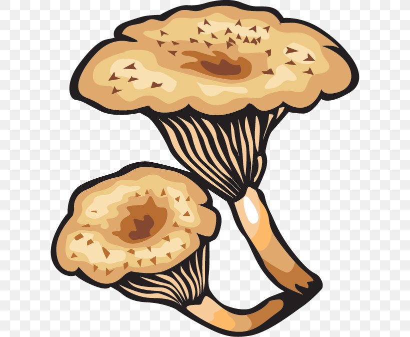 Mushroom, PNG, 618x673px, Mushroom, Artwork, Computer Software, Food, Fungus Download Free