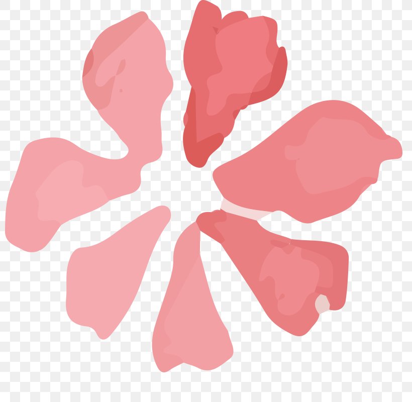 Petal Flower Oil Painting Watercolor Painting, PNG, 800x800px, Petal, Designer, Flower, Flowering Plant, Leaf Download Free
