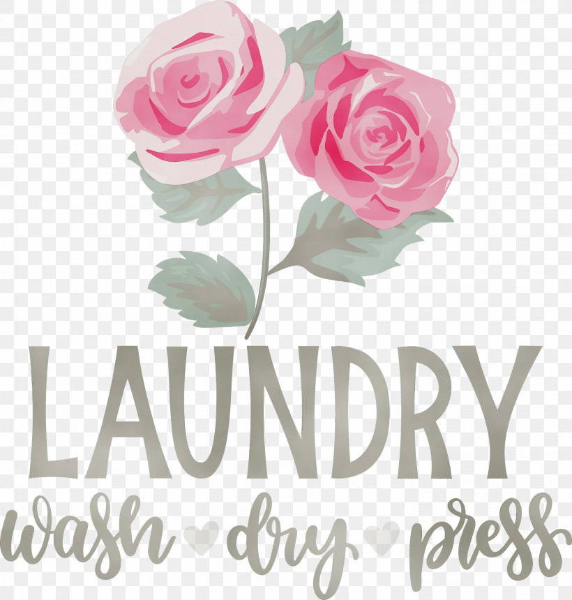 Floral Design, PNG, 2859x3000px, Laundry, Artificial Flower, Cabbage Rose, Cut Flowers, Dry Download Free
