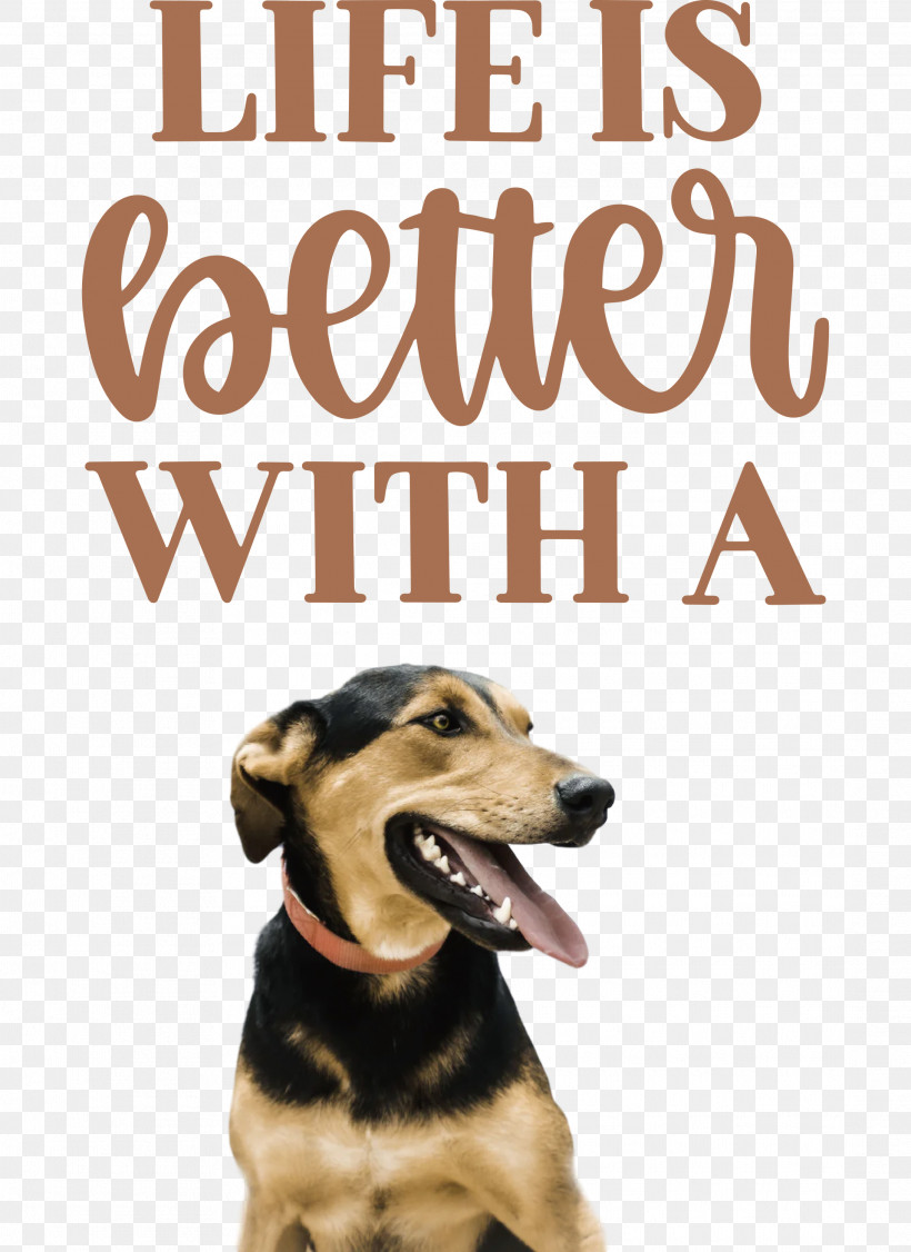 Life Better, PNG, 2183x3000px, Life, Better, Biology, Breed, Dog Download Free