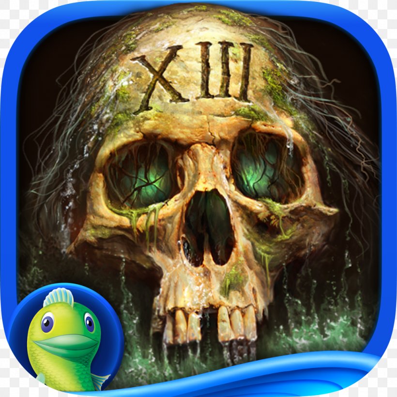 Mystery Case Files: 13th Skull Mystery Case Files: Dire Grove Mystery Case Files: Madame Fate Mystery Case Files: MillionHeir Big Fish Games, PNG, 1024x1024px, Mystery Case Files 13th Skull, Adventure Game, Big Fish Games, Bone, Casual Game Download Free