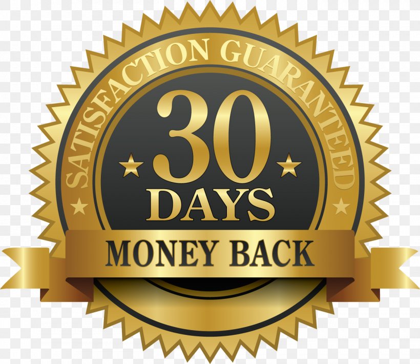 Product Return Policy Money Back Guarantee, PNG, 1353x1172px, Product Return, Brand, Customer, Gold, Guarantee Download Free