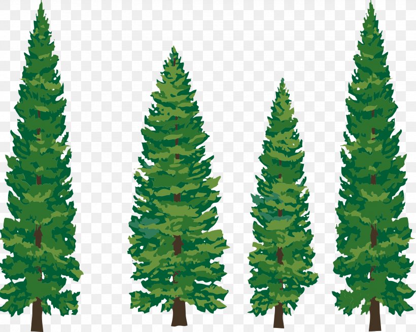Tree Pine Fir Evergreen Clip Art, PNG, 2555x2041px, Tree, Biome, Christmas Decoration, Christmas Ornament, Christmas Tree Download Free