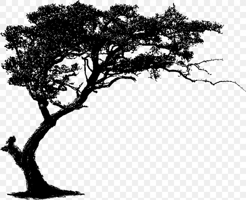 Clip Art, PNG, 1600x1302px, Family Tree, Black And White, Branch, Community, Family Download Free