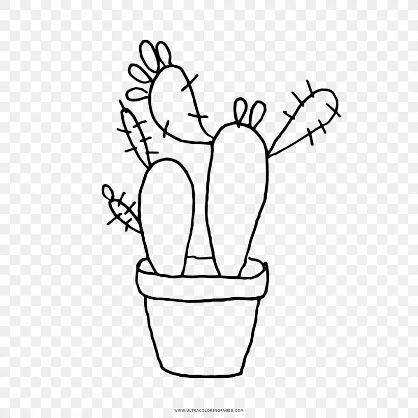 Drawing Black And White Cactaceae Coloring Book, PNG, 1000x1000px, Watercolor, Cartoon, Flower, Frame, Heart Download Free