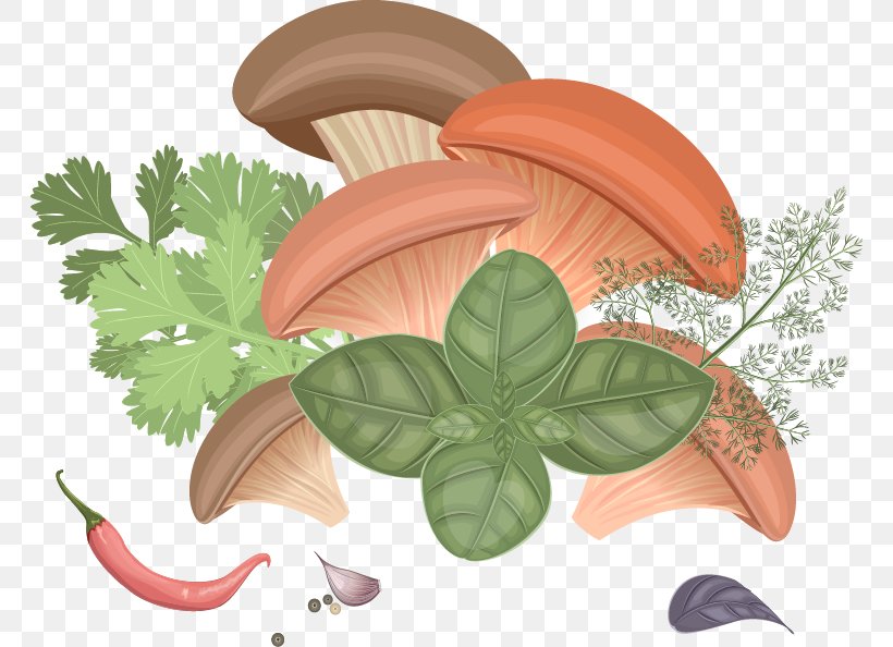Edible Mushroom Common Mushroom Fungus, PNG, 764x594px, Mushroom, Chili Pepper, Common Mushroom, Edible Mushroom, Food Download Free