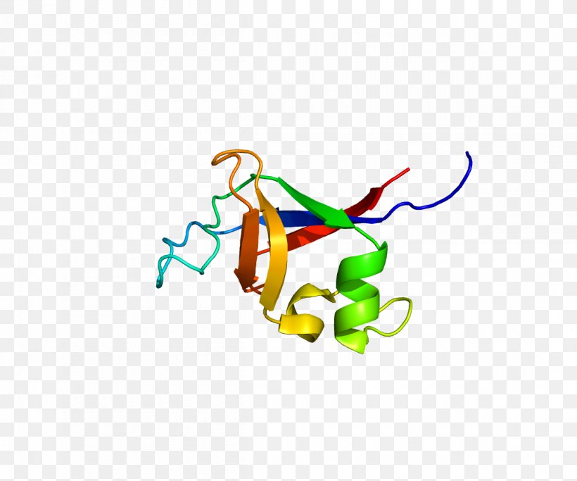 PIK3R2 Phosphoinositide 3-kinase Protein Kinase FYN, PNG, 1200x1000px, Watercolor, Cartoon, Flower, Frame, Heart Download Free