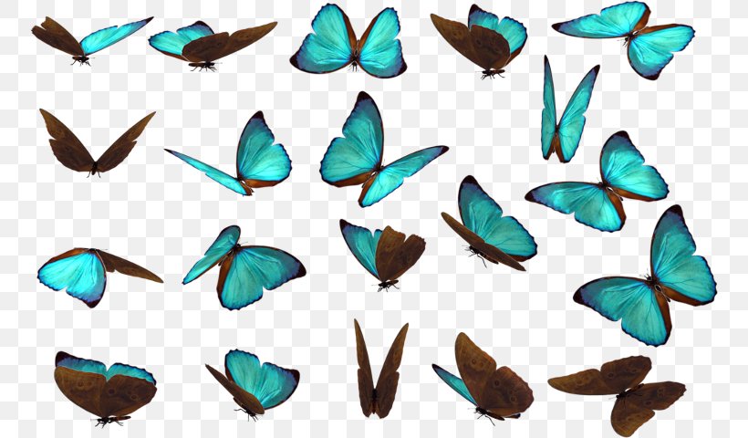 Butterfly Drawing Clip Art, PNG, 754x480px, Butterfly, Art, Artwork, Deviantart, Drawing Download Free