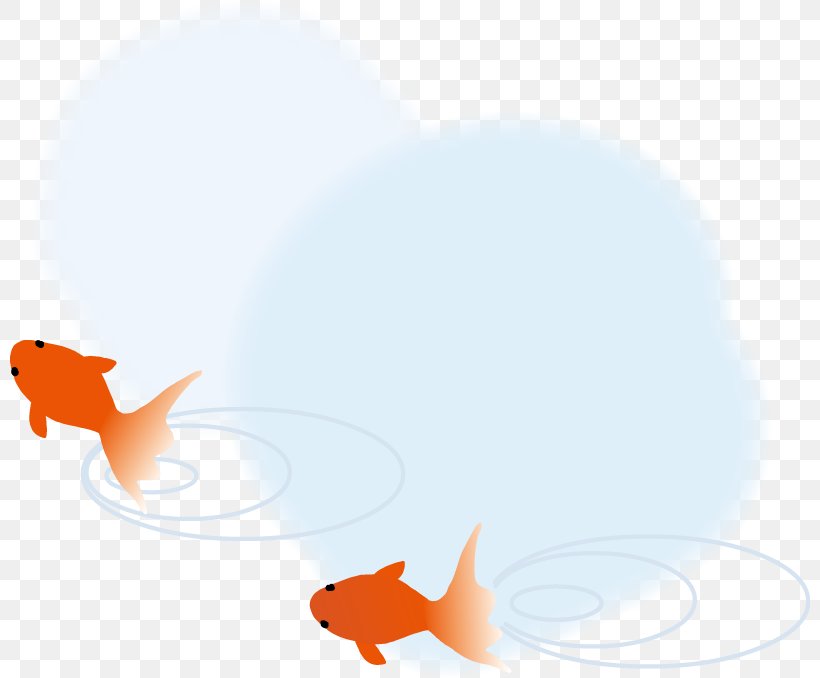 Canidae Goldfish Dog Marine Mammal, PNG, 800x678px, Canidae, Carnivora, Carnivoran, Computer, Dog Download Free