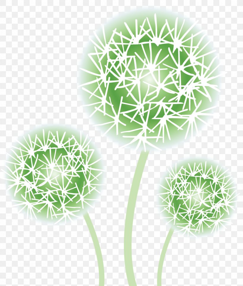 Common Dandelion Raster Graphics Flower Green, PNG, 1090x1284px, Common Dandelion, Anemophily, Color, Dandelion, Flower Download Free