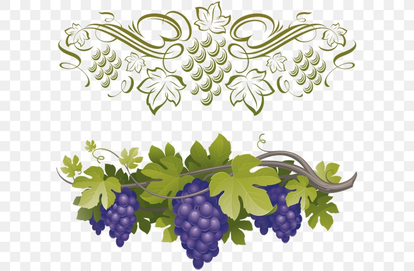 Grape Clip Art, PNG, 600x538px, Grape, Art, Branch, Floral Design, Flower Download Free