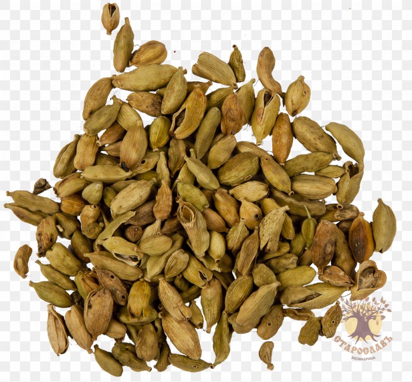 Nut Pumpkin Seed Salad Food, PNG, 1024x951px, Nut, Butternut Squash, Commodity, Cucurbita, Eating Download Free