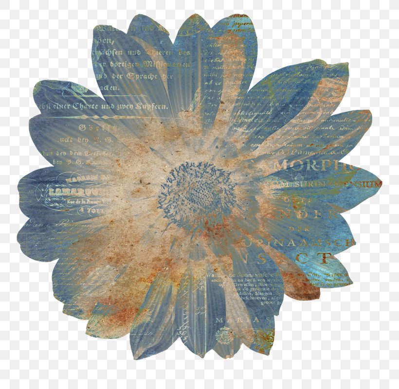 Paper Scrapbooking Flower, PNG, 800x800px, Paper, Collage, Digital Image, Ephemera, Flower Download Free