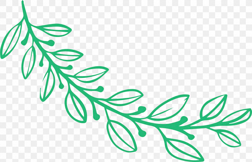 Simple Leaf Simple Leaf Drawing Simple Leaf Outline, PNG, 2516x1628px, Simple Leaf, Branch, Cartoon, Drawing, Flower Download Free