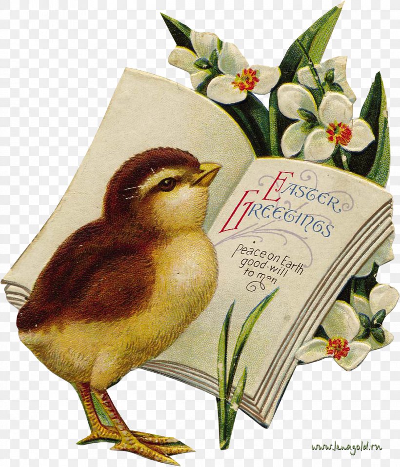 Easter Bunny Easter Egg Easter Postcard Clip Art, PNG, 1196x1397px, Easter Bunny, Beak, Bird, Christmas, Easter Download Free