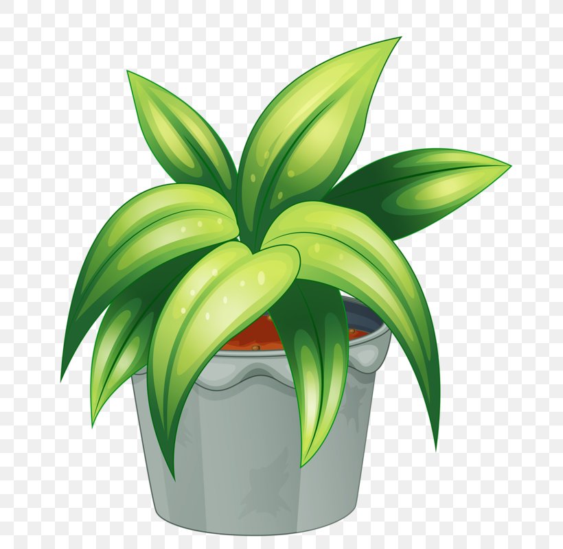 Royalty-free Clip Art, PNG, 747x800px, Royaltyfree, Flower, Flowering Plant, Flowerpot, Green Download Free