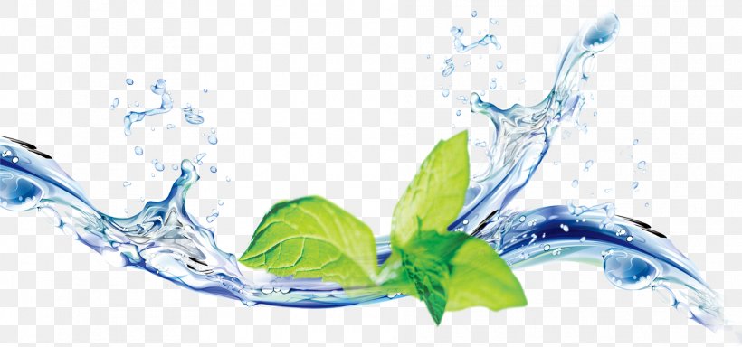 Water Mint Software, PNG, 1876x879px, Water Mint, Artwork, Information, Leaf, Liquid Download Free
